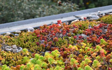 the cost of Chipping Barnet green roof installation