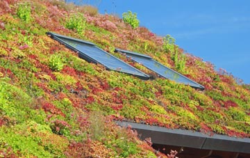 Chipping Barnet living roof systems