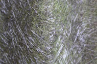 Chipping Barnet fibreglass roof work